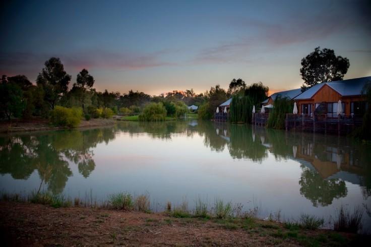 Perricoota Vines Retreat Hotell Moama Rom bilde