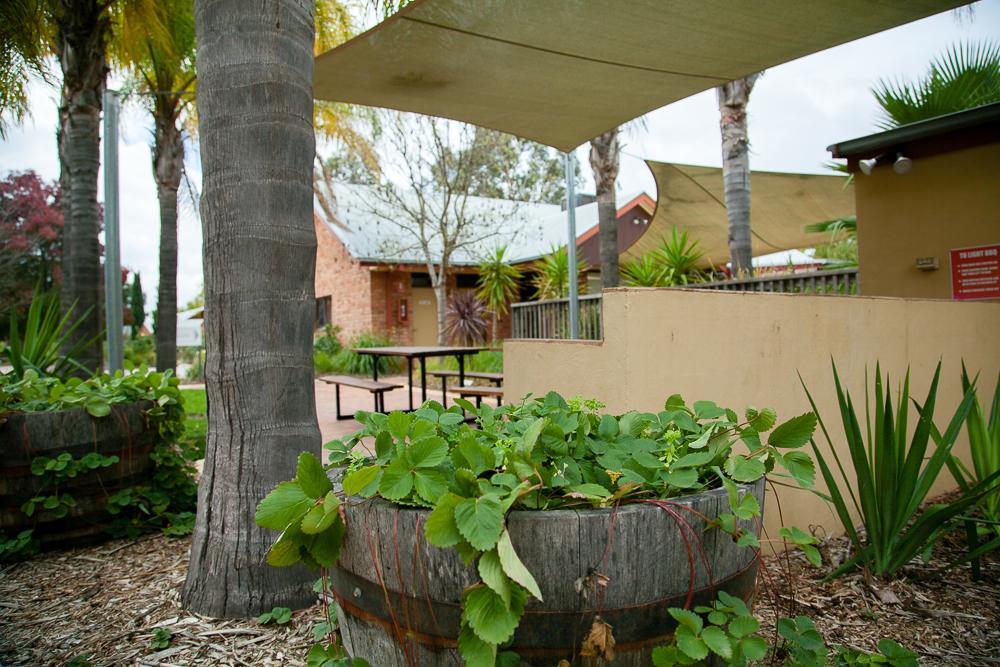 Perricoota Vines Retreat Hotell Moama Eksteriør bilde