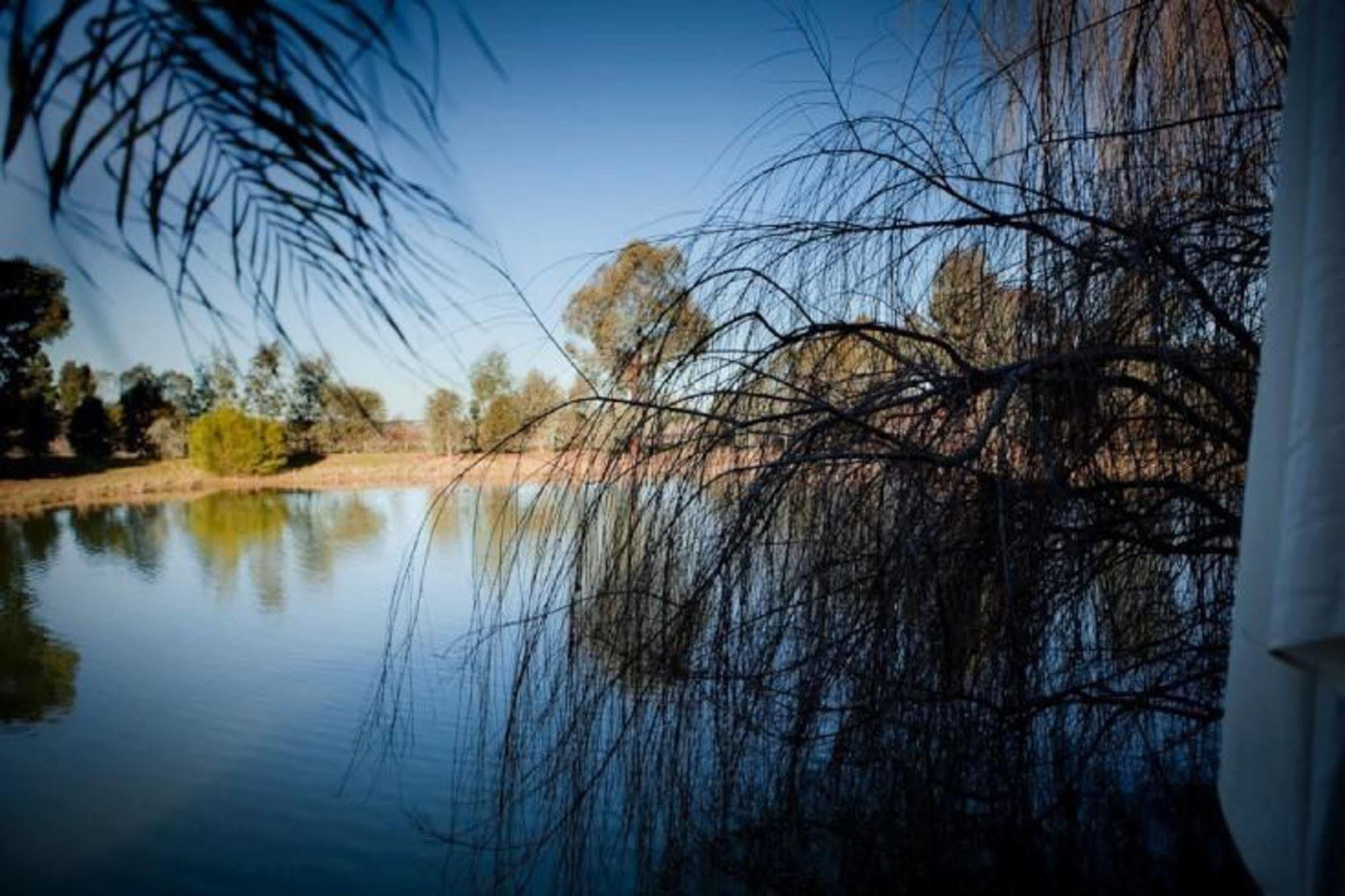 Perricoota Vines Retreat Hotell Moama Eksteriør bilde