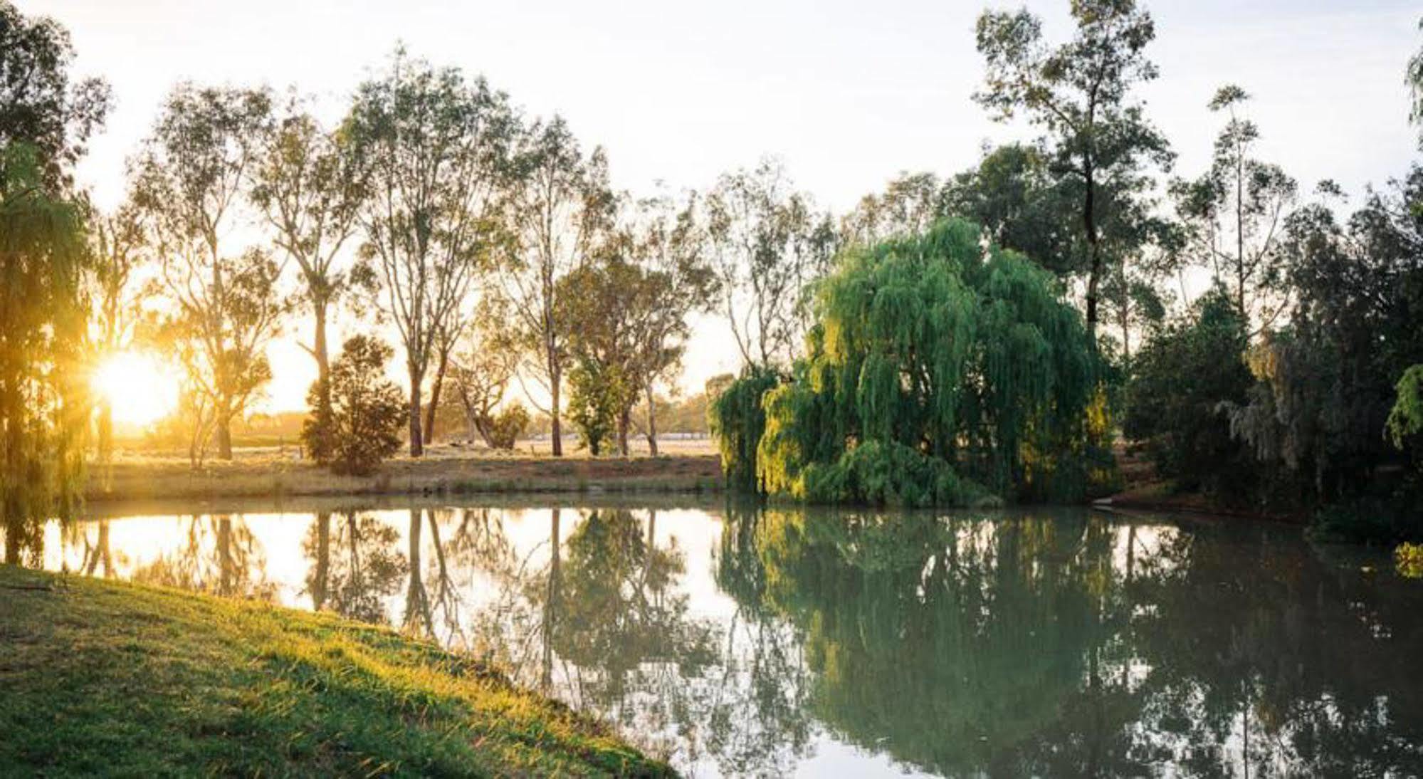 Perricoota Vines Retreat Hotell Moama Eksteriør bilde